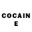 Cocaine Fish Scale proud Confederate