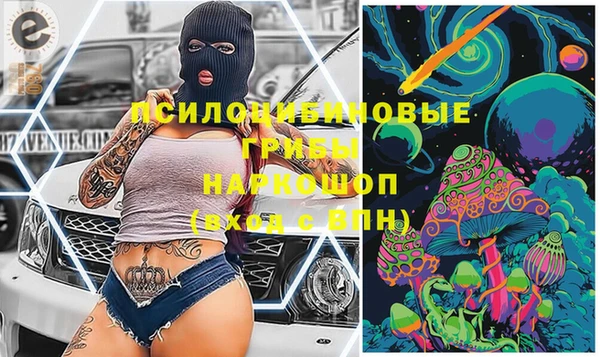 ГАЛЛЮЦИНОГЕННЫЕ ГРИБЫ Белокуриха