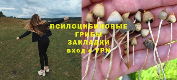 крисы Беломорск