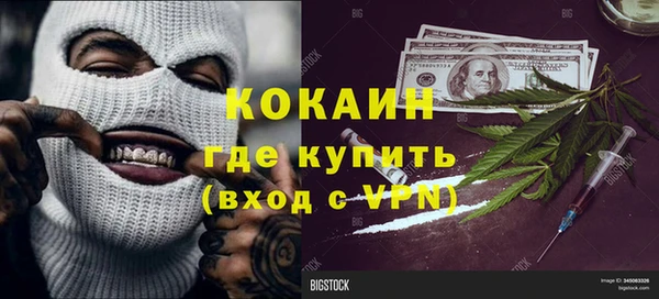PSILOCYBIN Рославль
